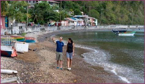 Unveiling Cecilia Vega's Wikipedia: Discoveries And Revelations